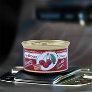 Car air freshener, long-lasting fragrance for cars, car odor remover